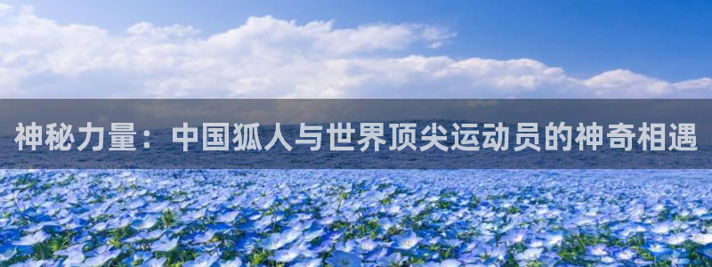 神秘力量：中国狐人与世界顶尖运动员的神奇相遇