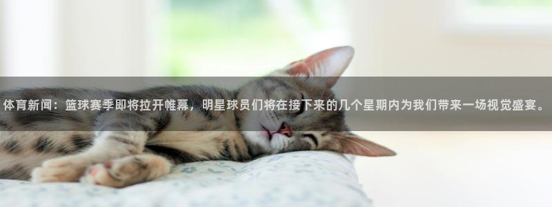 体育新闻：篮球赛季即将拉开帷幕，明星球员们将在接下来的几个星期内为我们带来一场视觉盛宴。