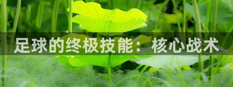 足球的终极技能：核心战术