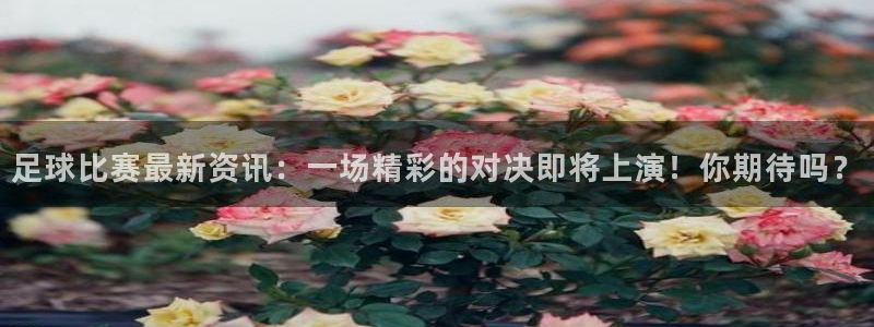 足球比赛最新资讯：一场精彩的对决即将上演！你期待吗？