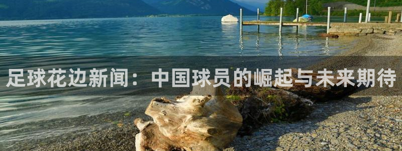足球花边新闻：中国球员的崛起与未来期待