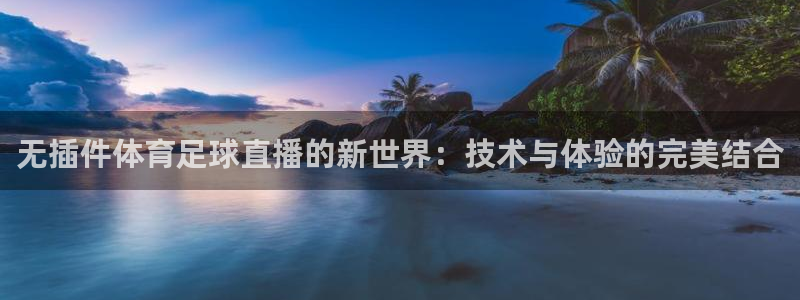 无插件体育足球直播的新世界：技术与体验的完美结合