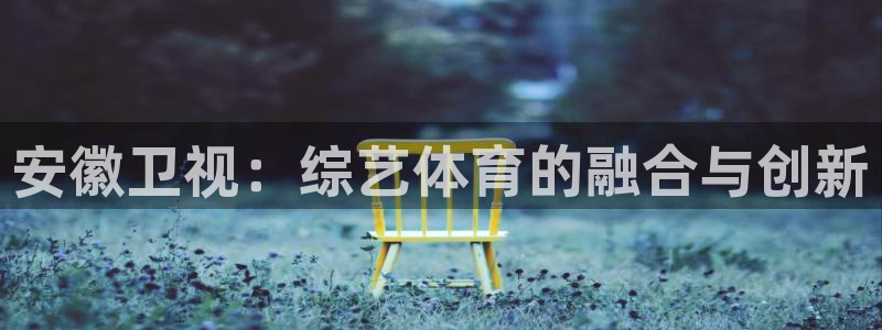 安徽卫视：综艺体育的融合与创新
