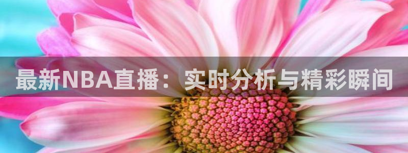 最新NBA直播：实时分析与精彩瞬间