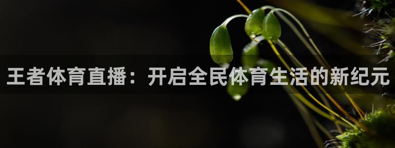 王者体育直播：开启全民体育生活的新纪元