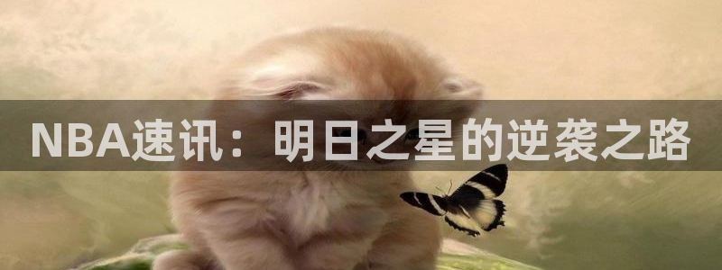 NBA速讯：明日之星的逆袭之路