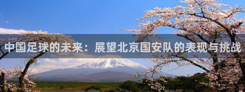 中国足球的未来：展望北京国安队的表现与挑战