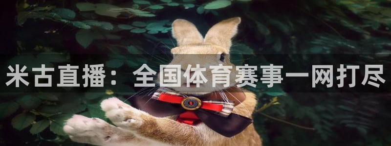 米古直播：全国体育赛事一网打尽