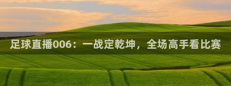 足球直播006：一战定乾坤，全场高手看比赛