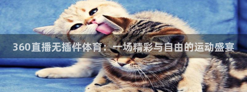 360直播无插件体育：一场精彩与自由的运动盛宴