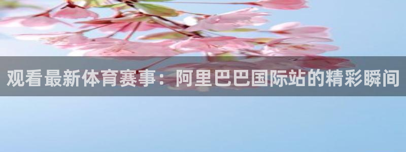 观看最新体育赛事：阿里巴巴国际站的精彩瞬间