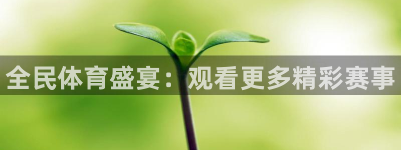 全民体育盛宴：观看更多精彩赛事