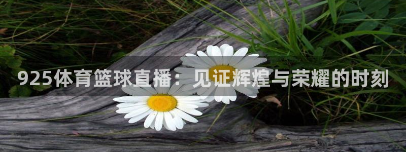 925体育篮球直播：见证辉煌与荣耀的时刻