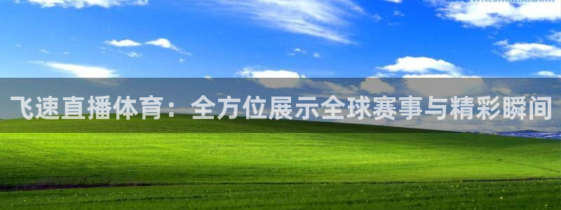 飞速直播体育：全方位展示全球赛事与精彩瞬间