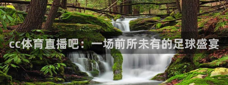 cc体育直播吧：一场前所未有的足球盛宴