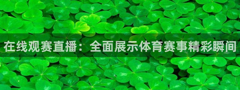 在线观赛直播：全面展示体育赛事精彩瞬间