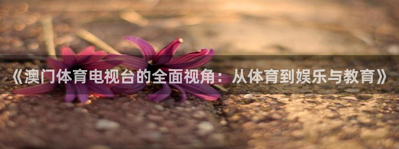 《澳门体育电视台的全面视角：从体育到娱乐与教育》