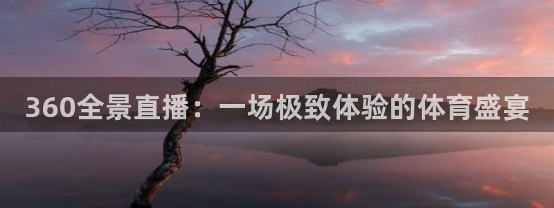 360全景直播：一场极致体验的体育盛宴