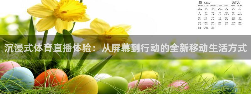 沉浸式体育直播体验：从屏幕到行动的全新移动生活方式