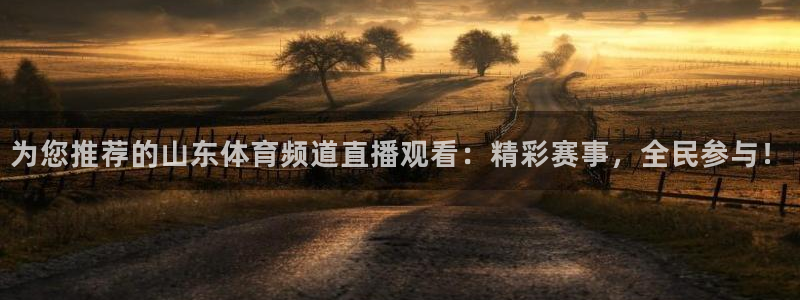 为您推荐的山东体育频道直播观看：精彩赛事，全民参与！