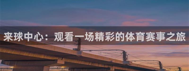 来球中心：观看一场精彩的体育赛事之旅