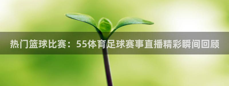 热门篮球比赛：55体育足球赛事直播精彩瞬间回顾