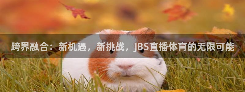 跨界融合：新机遇，新挑战，JBS直播体育的无限可能