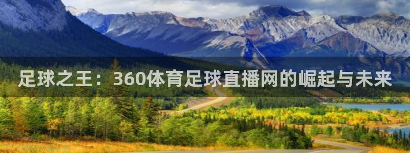 足球之王：360体育足球直播网的崛起与未来