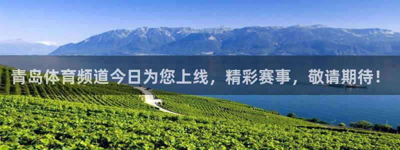 青岛体育频道今日为您上线，精彩赛事，敬请期待！