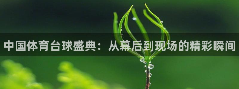 中国体育台球盛典：从幕后到现场的精彩瞬间