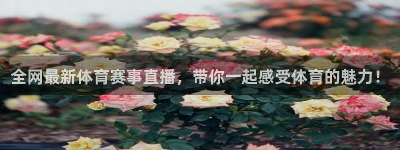 全网最新体育赛事直播，带你一起感受体育的魅力！