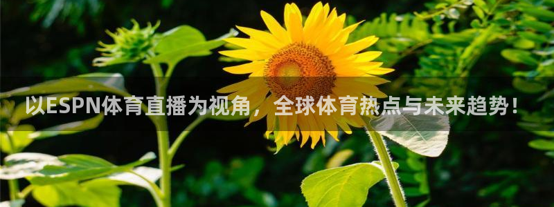 以ESPN体育直播为视角，全球体育热点与未来趋势！