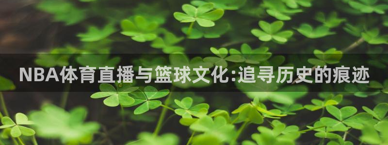 NBA体育直播与篮球文化:追寻历史的痕迹