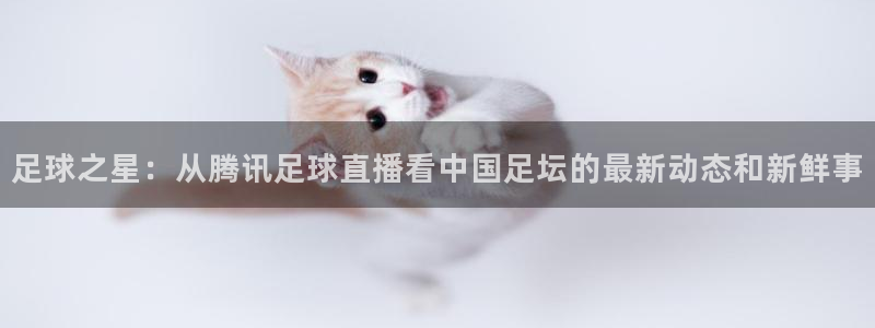 足球之星：从腾讯足球直播看中国足坛的最新动态和新鲜事