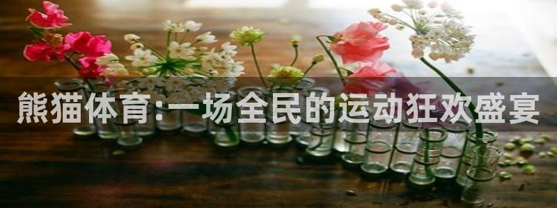 熊猫体育:一场全民的运动狂欢盛宴