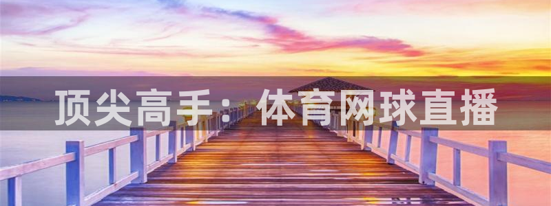 顶尖高手：体育网球直播