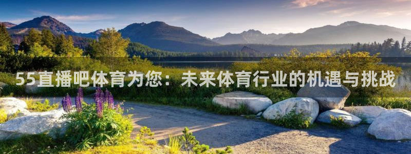 55直播吧体育为您：未来体育行业的机遇与挑战