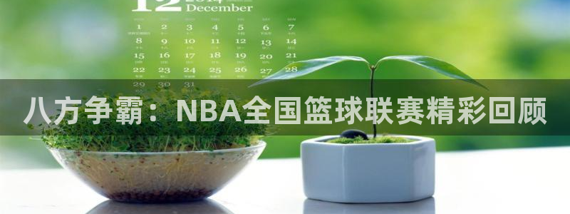 八方争霸：NBA全国篮球联赛精彩回顾
