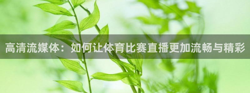 高清流媒体：如何让体育比赛直播更加流畅与精彩
